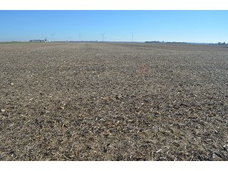 Tract 3 - FARMLAND AUCTION - 165.5+/- ACRES OFFERED IN 5 TRACTS OR COMBINATIONS IN EAST ALLEN COUNTY
